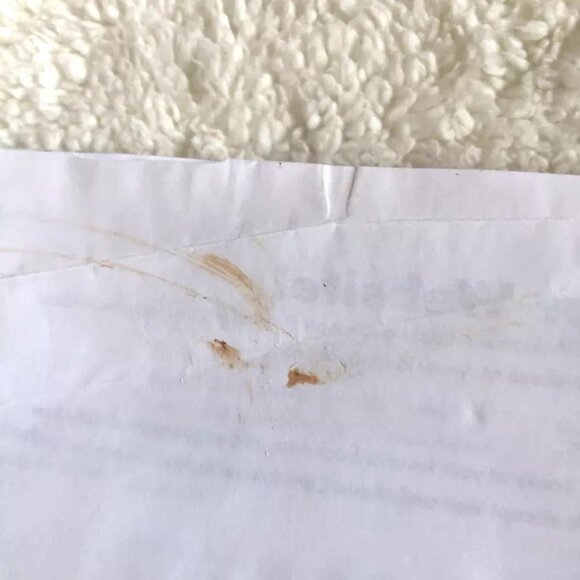 Alphabet Art : With A To Z Animal Art & Fingerplays by Judy Press 1998 - Picture 10 of 10